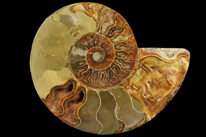 Agatized Ammonite Fossil (Half) - Madagascar #111541